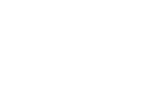 The Brick Academy